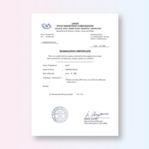 Re:Bloom　成績試験証明書